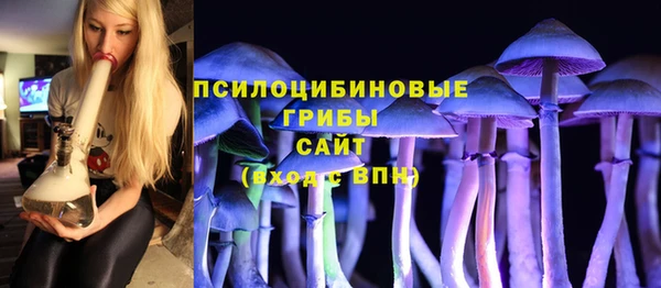 спиды Алзамай